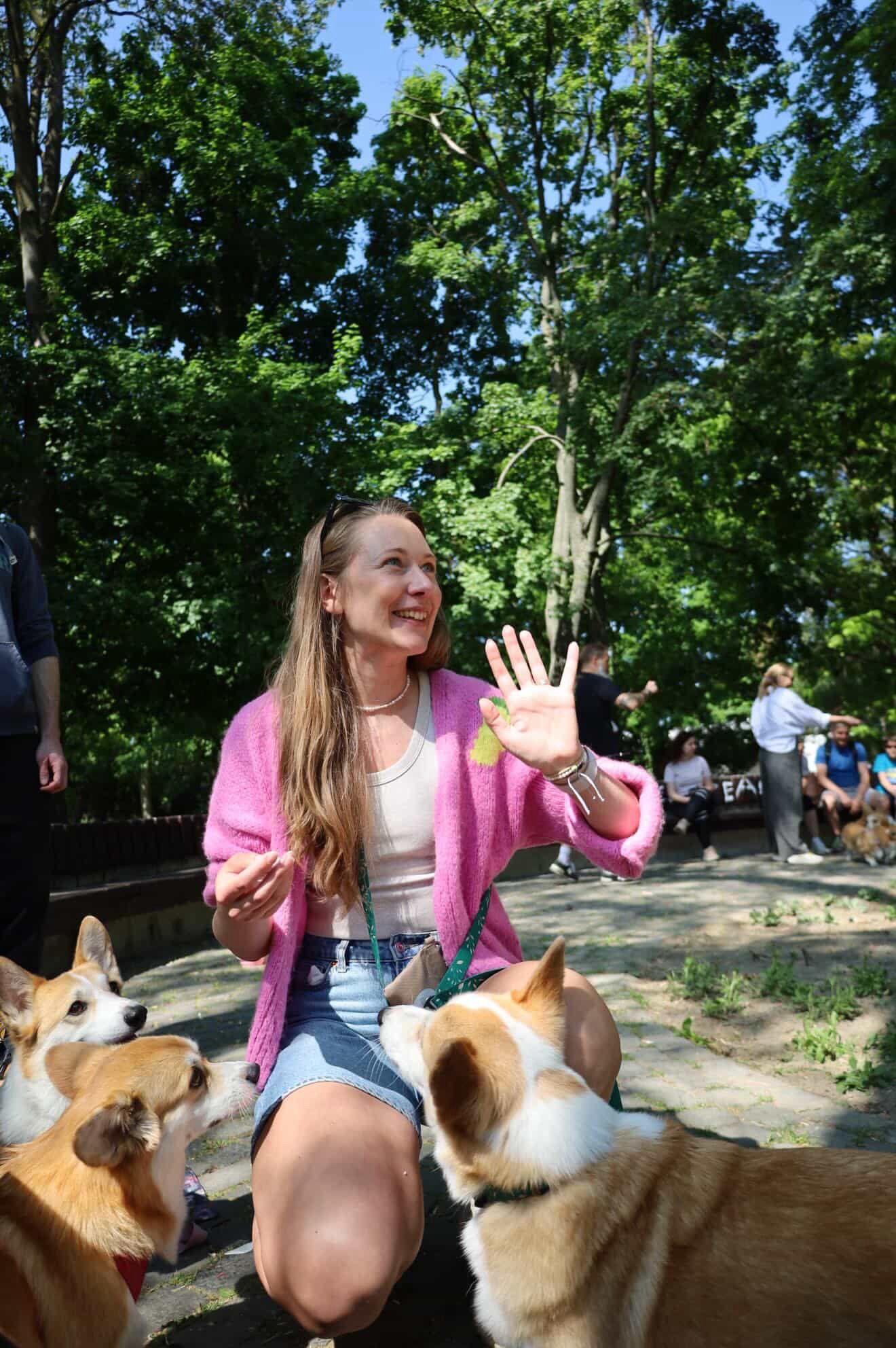 corgi meet up 26